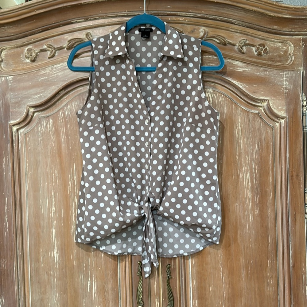 Ann Taylor Polka Dot Blouse